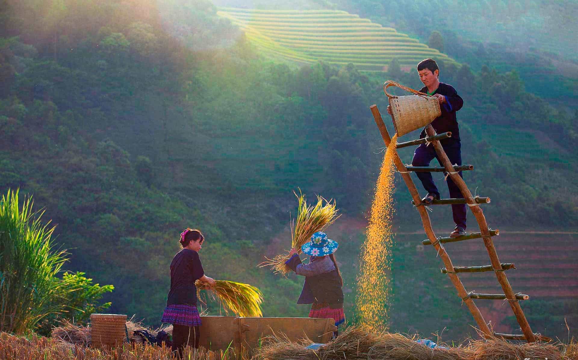 Vietnam