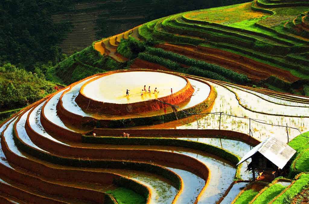 Vietnam's Highlands and Island Retreats 2