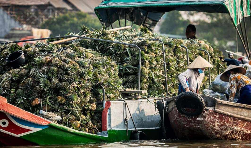 Transporting fresh pineapples by boat in a tropical region.