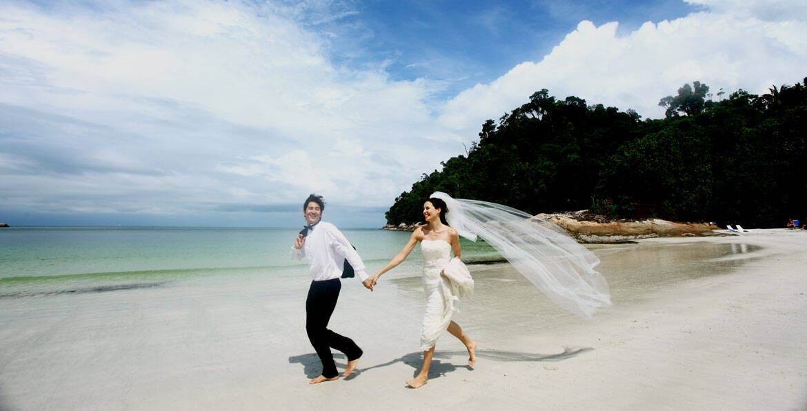 Beach wedding couple holding hands on sandy shore with ocean and forest background.