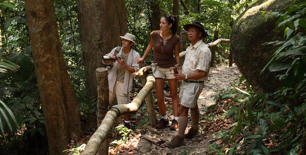 Group of travelers hiking in lush jungle forest, guided by a tour leader, enjoying nature and advent.