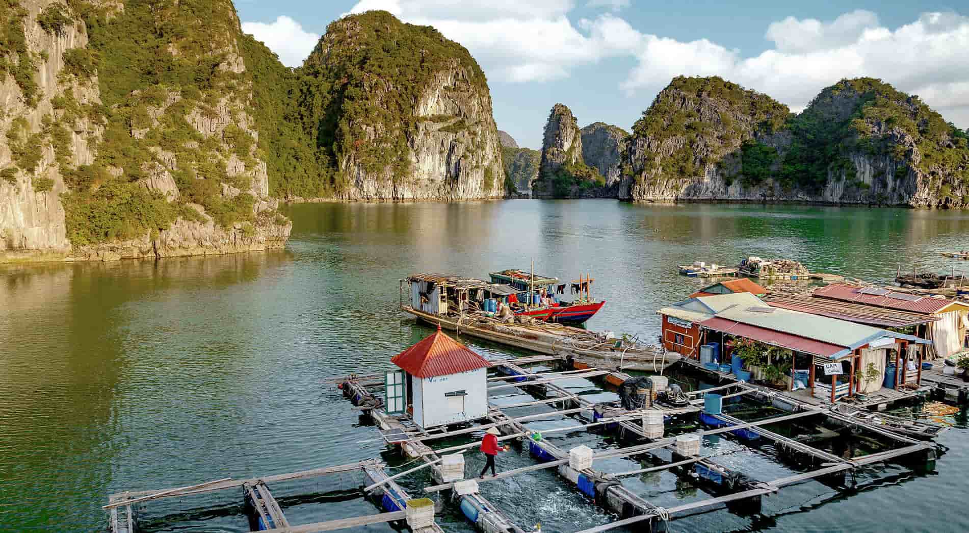 Scenic view of Vietnam's bay with boats and limestone karsts, ideal for travel enthusiasts.
