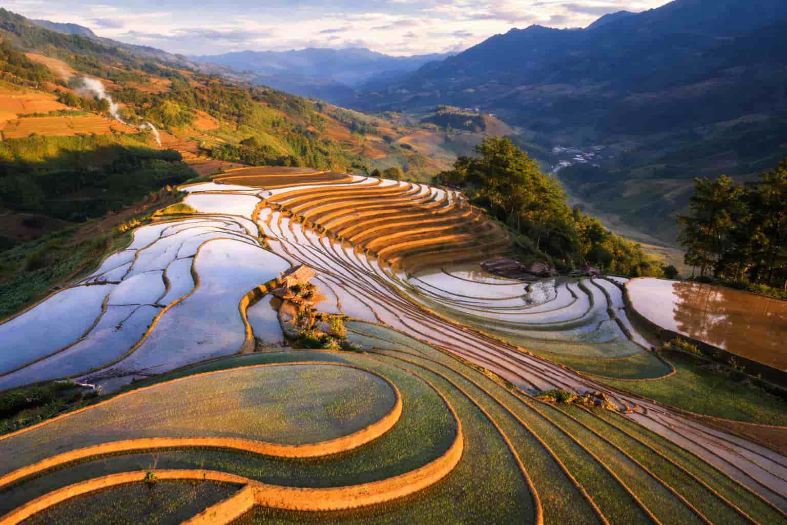 Scenic terraced rice paddies in a mountain valley, lush and vibrant.