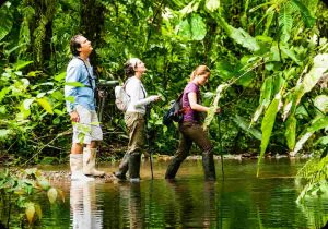 Where is the Amazon River? 1 Best Time to Visit the Amazon